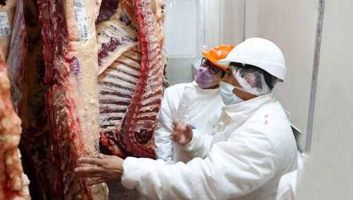 Ya rige la suspensión por 30 días de la exportación de carne bovina