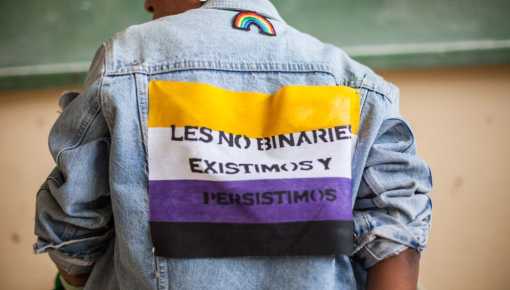 Las personas con DNI no binario podrán votar en Río Negro, pero...