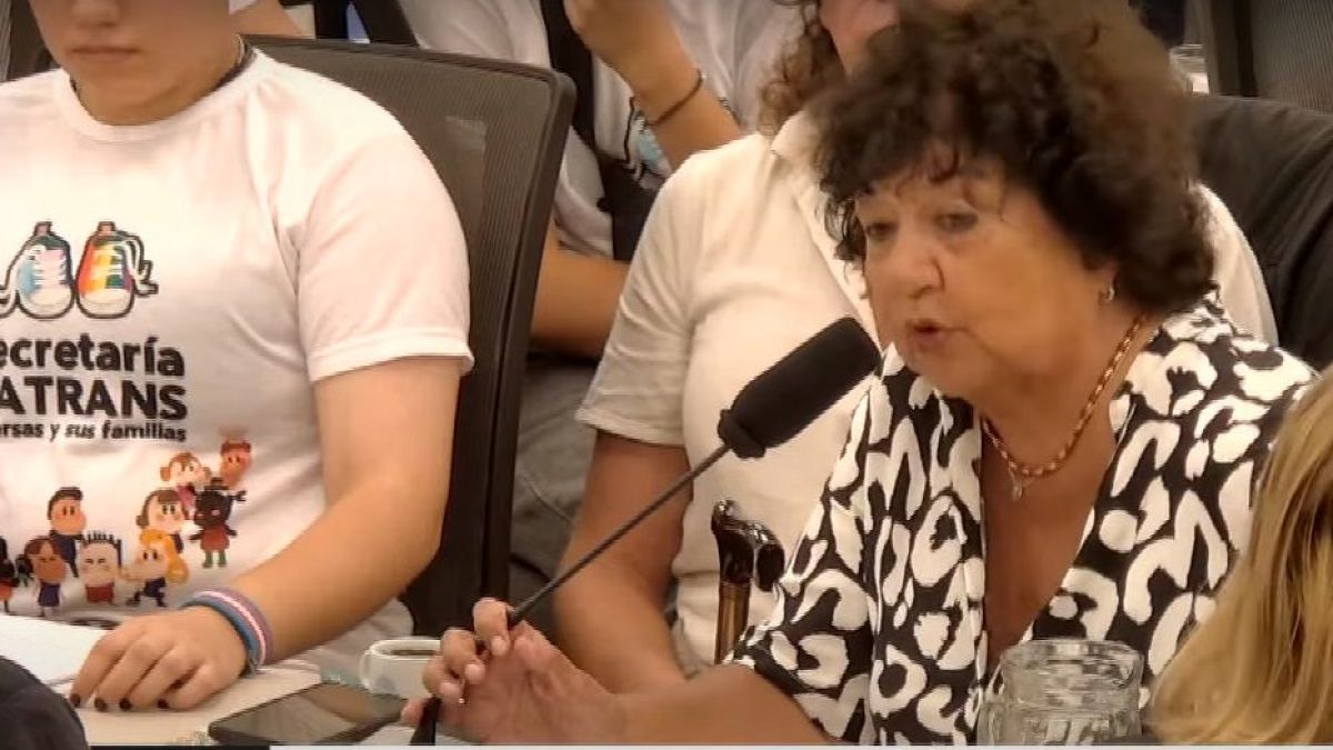 Dora Barrancos en la reunión de comisión de Diputados