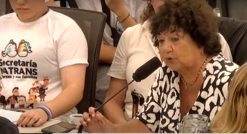 Dora Barrancos en la reunión de comisión de Diputados