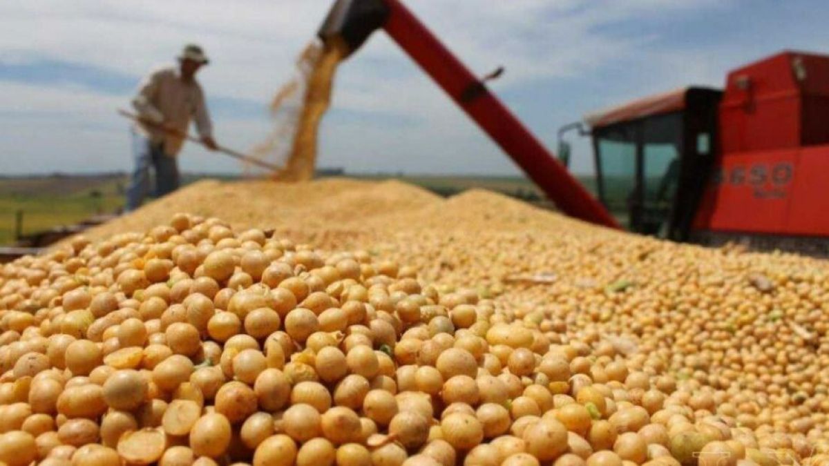 Baja de retenciones: malestar en el campo por la demora de la publicación en el Boletín Oficial