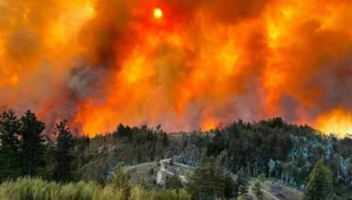 Incendios: Milei sigue desfinanciando a brigadistas de Argentina mientras ofrece ayuda a Chile
